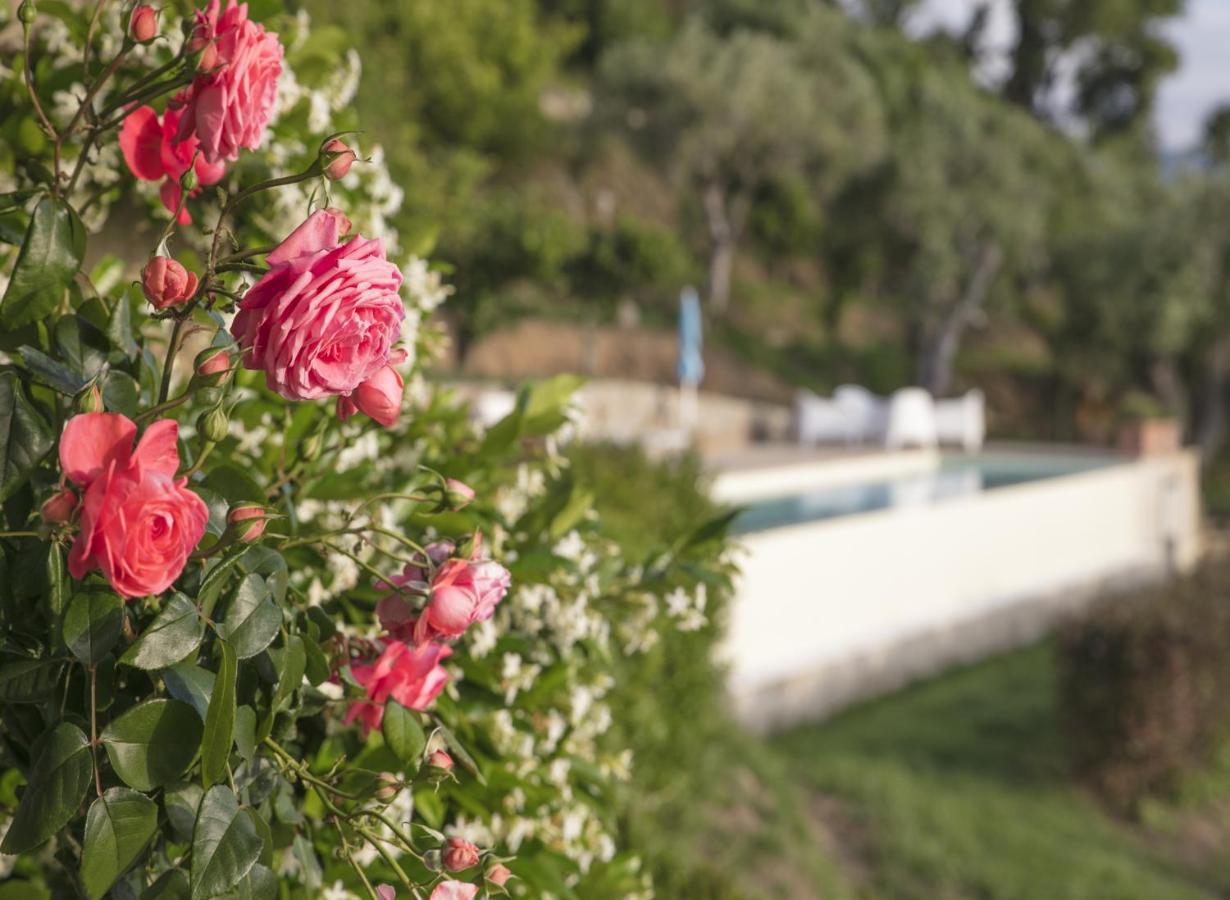 Villa Laura Capo dʼOrlando Esterno foto